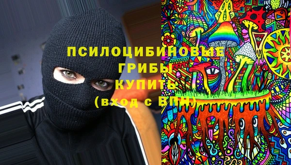 крисы Наволоки