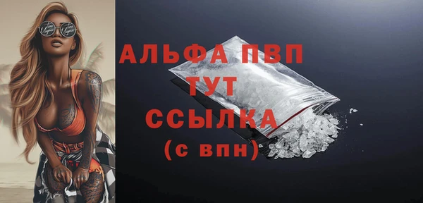 мдпв Инсар