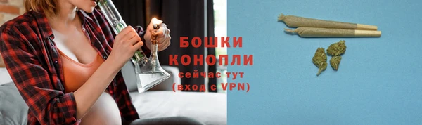 крисы Наволоки