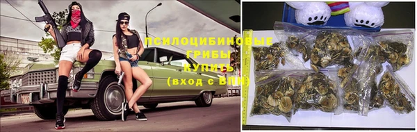 крисы Наволоки