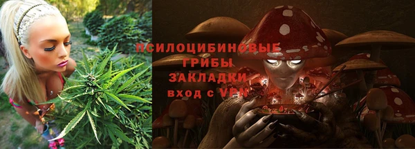 ешки Надым