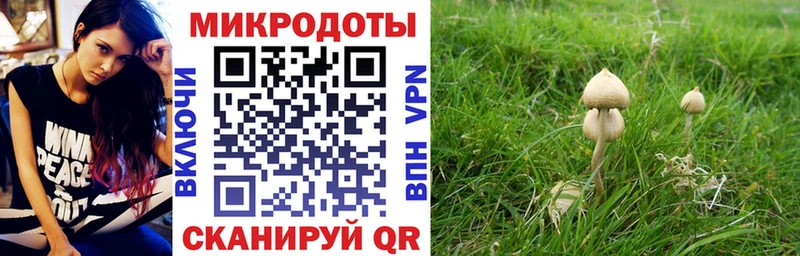 Псилоцибиновые грибы мухоморы  кракен маркетплейс  Кологрив 